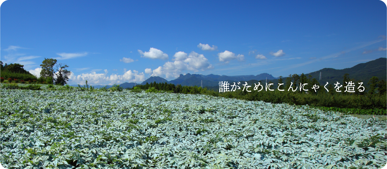 誰がためにこんにゃくを造る