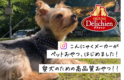 商品情報やお得なキャンペーンなどをお届け
